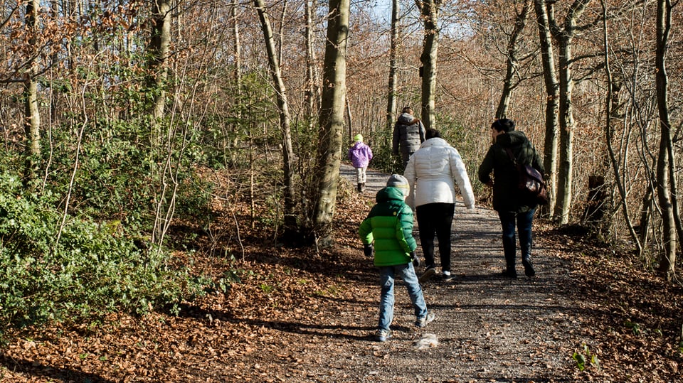 Eine Familie spaziert im Wald.