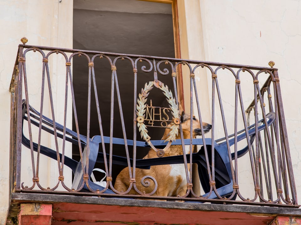 Hund auf einem Balkon in Sent.