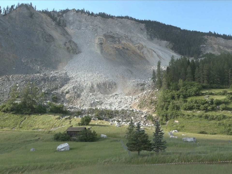 So hat der Hang oberhalb Brienz (GR) vor dem Schuttsturm ausgesehen.