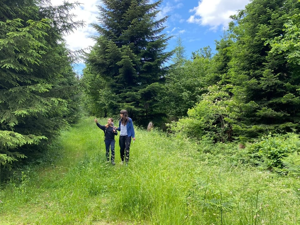 Dania und Sophie im Wald