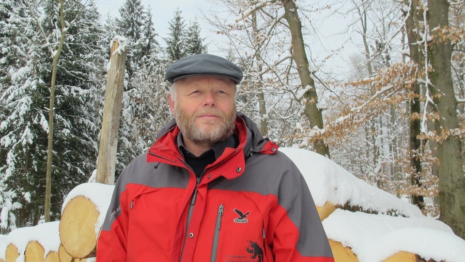Oberförster Philipp Mösch steht am Rand eines Waldes, hinter ihm gestapelte Baumstrünke.