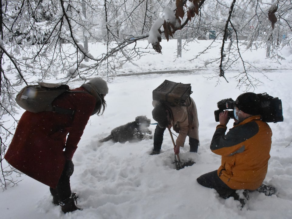 Menschen suchen im Schnee nach Trüffeln.