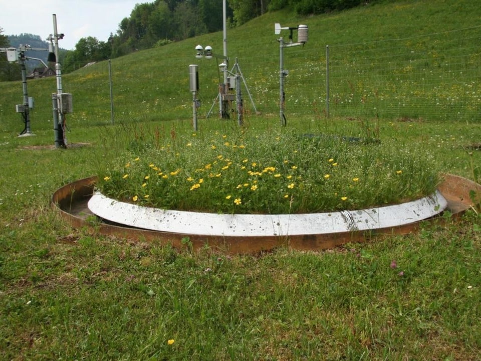 Ein Lysimeter am Messfeld der ETH (Eidgenösische technischen Hochschule). Ein zylindrischer Behälter mit der Bodenstruktur gefühlt und darauf der natürliche Bewuchs der Umgebung. (Gras und Blumen).  Er ist Im Boden versenkt.