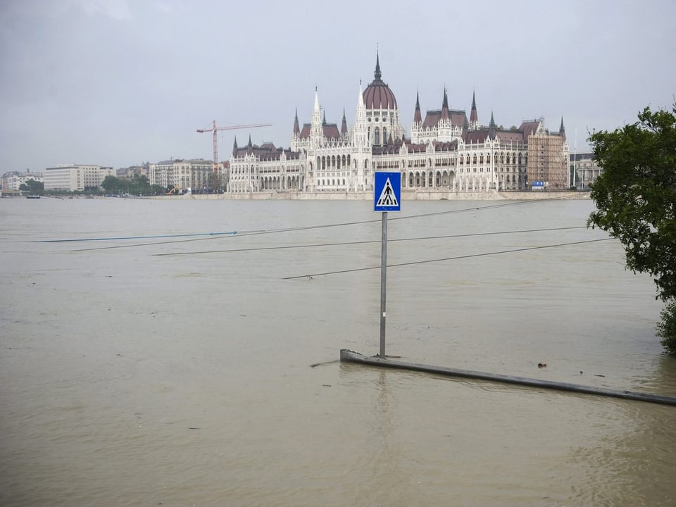 Parlament in Budapest im Wasser stehend.