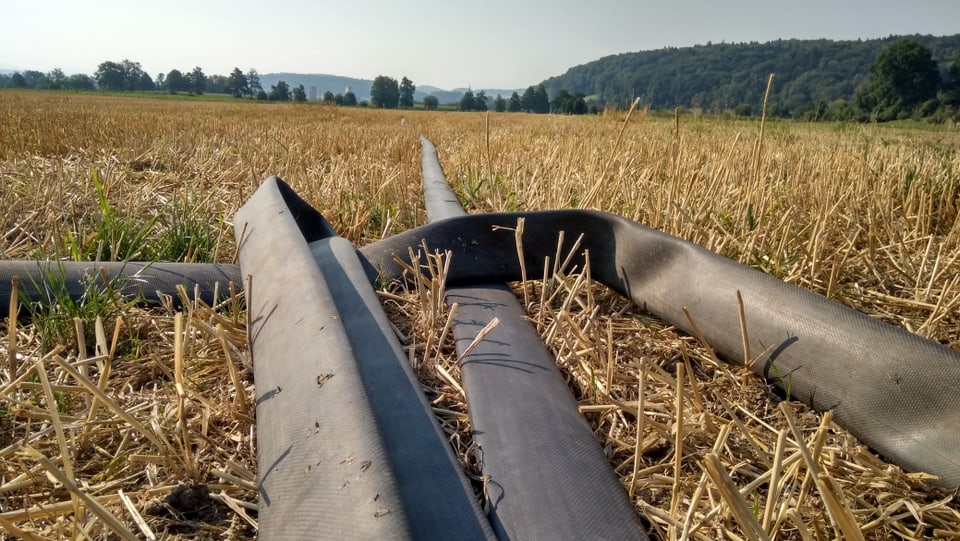 Schläuche auf einer Wiese