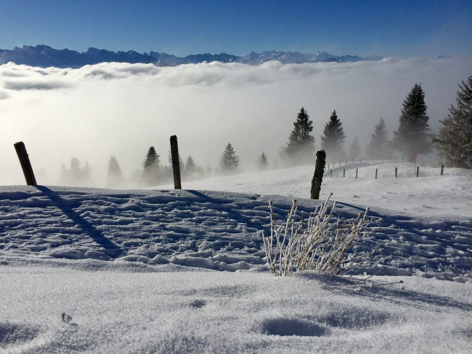 Rigi-Kaltbad Gratalp/LU. Hier sieht man die Schneelandschaft bei Sonnenschein und unten Nebelgrau.