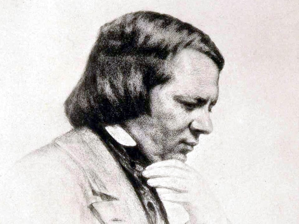 Portrait des Pianisten Robert Schumann