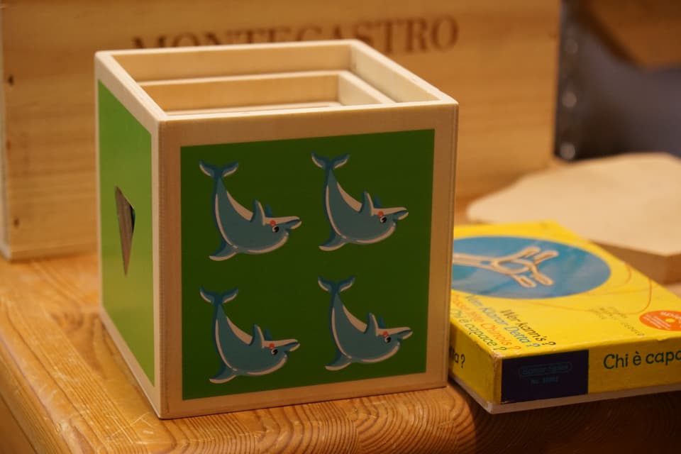Ein grünes Holzwürfel-Spielzeug. Es ist mit Delfinen bemalt.