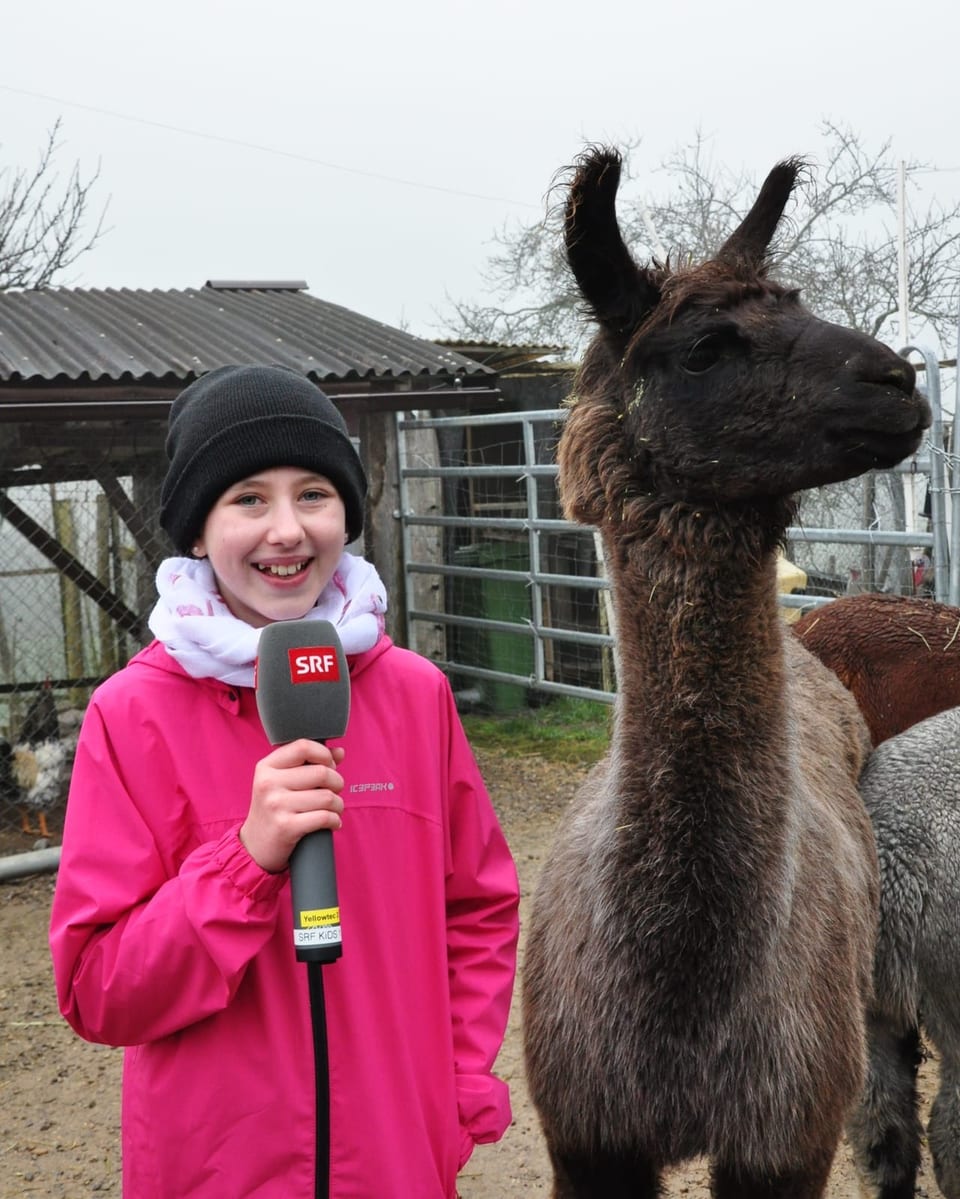 Amy steht mit einem Mikrofon in der Hand neben einem Lama
