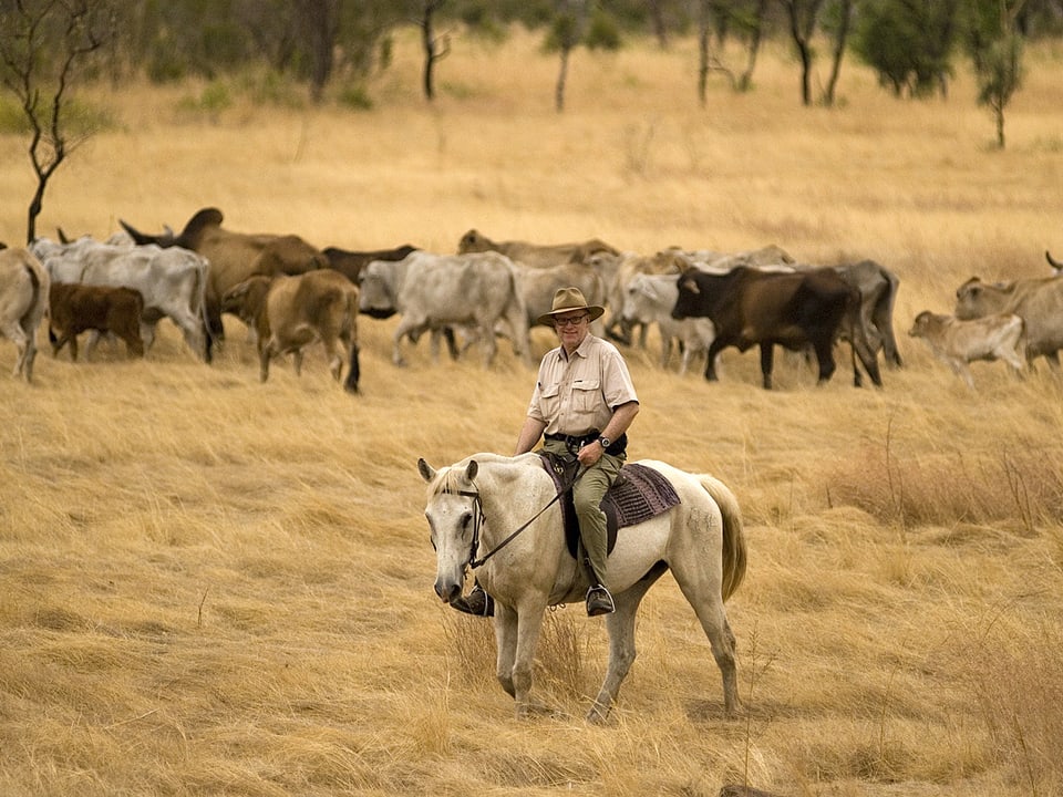 Urs Wälterlin auf dem Pferd, im Hintergrund eine Viehherde.