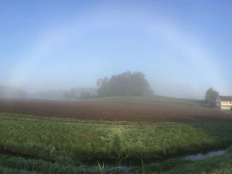 Landwirtschaftlich genutztes Feld mit dünner Bodennebelschicht. Darin ist ein Nebelbogen zu erkennen.