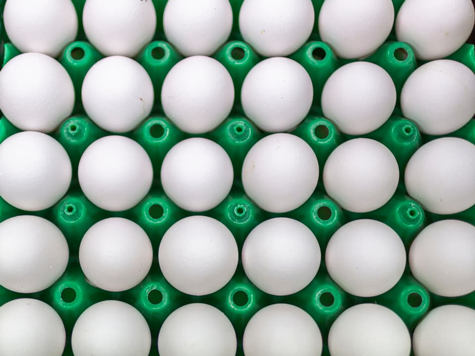 Eier in Eierkarton.