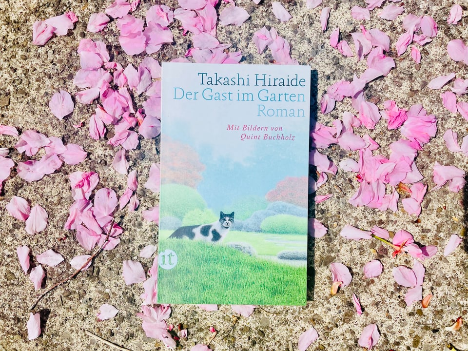 Der Roman «Saturo und das Geheimnis des Glücks» von Hiro Arikawa liegt auf Kirschblüten