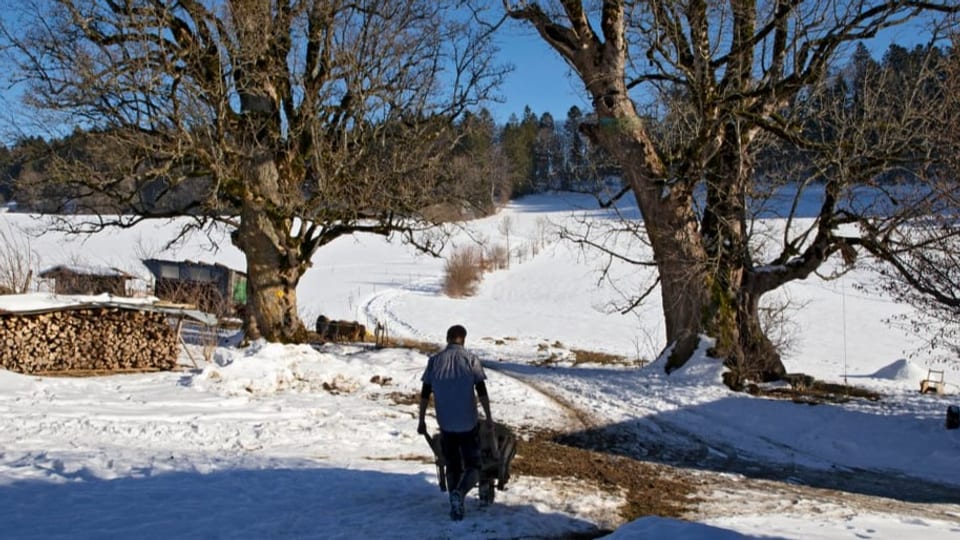 Mann in Rückansicht schiebt Schubkarre durch Winterlandschaft