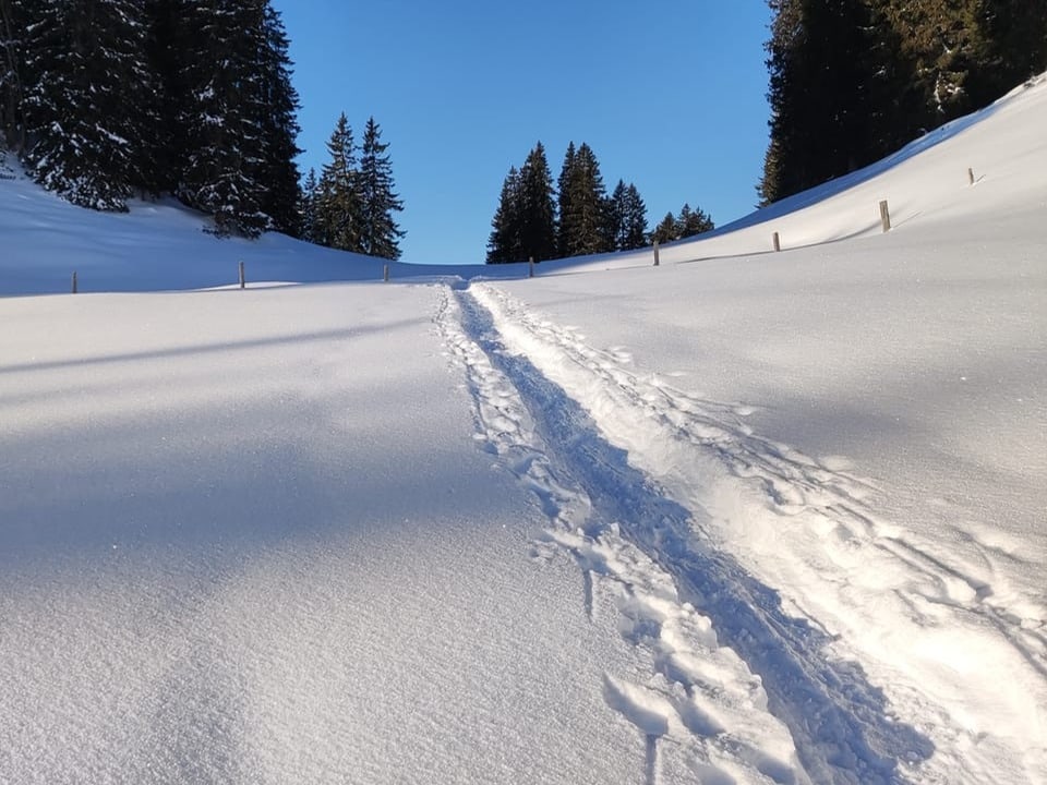 Spuren von Schneeschuhläufern im Schnee.