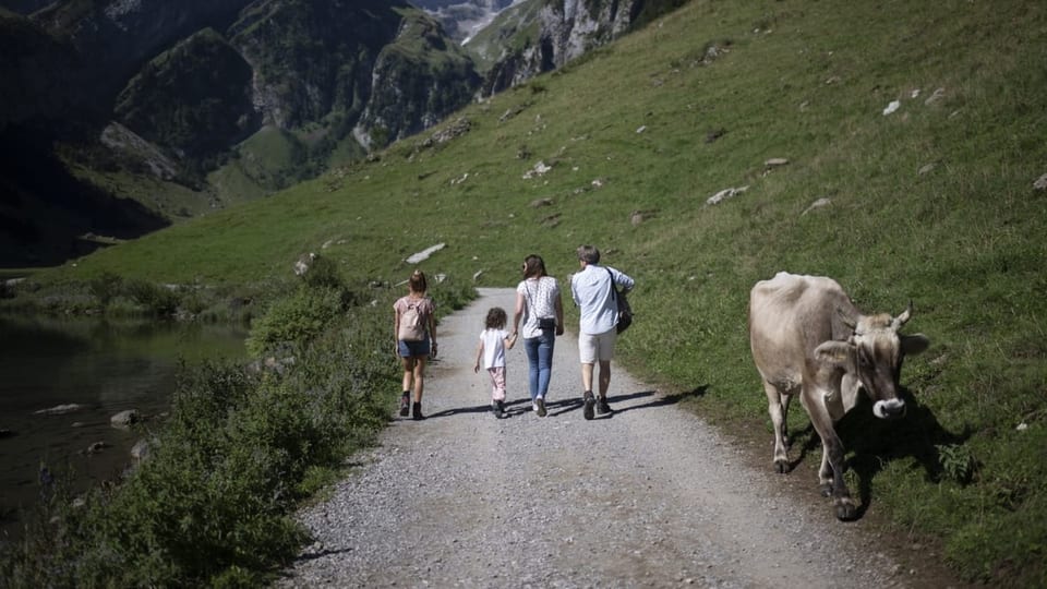 Familie wandert am Seealpsee an Kuh vorbei