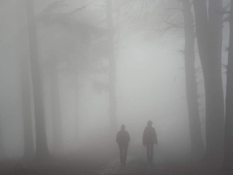 Zwei Wanderer im nebligen Wald. Die Sicht ist sehr schlecht, das ganze Bild grau. 