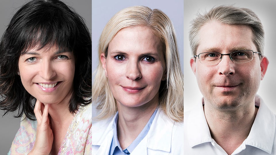 Porträtaufnahmen der Experten
