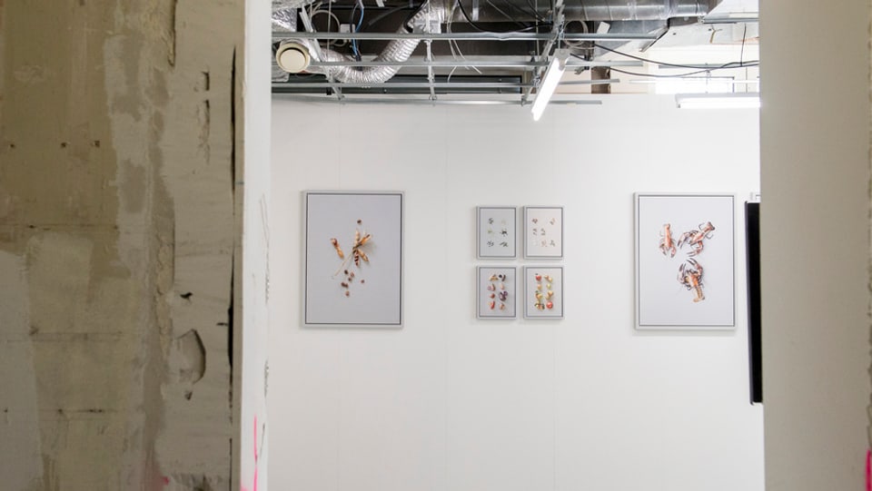 Das Bild zeigt Fotografien in einem Ausstellungsaal mit rohen Betonmauern.