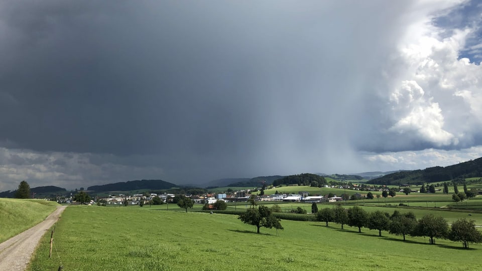 Dunkle Quellwolke mit Virgastreifen (Regen) im westlichen Kanton Thurgau.