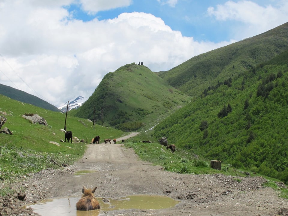 Ein holpriger Weg führt in ein Tal hinein. Es ist in einer grünen Landschaft von Georgien.