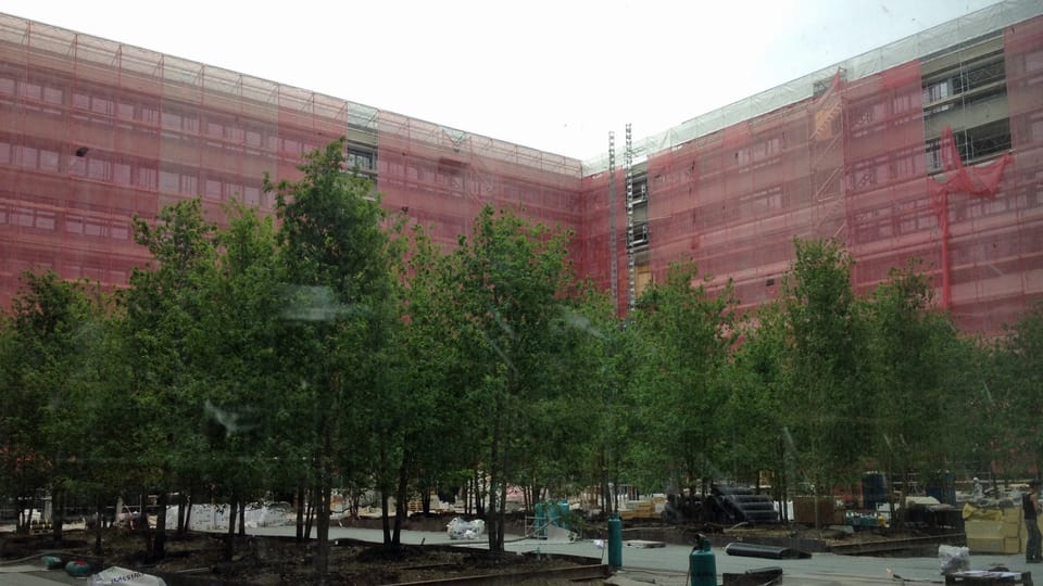 Bäume, dahinter Baustelle mit rot eingerüstetem Gebäude