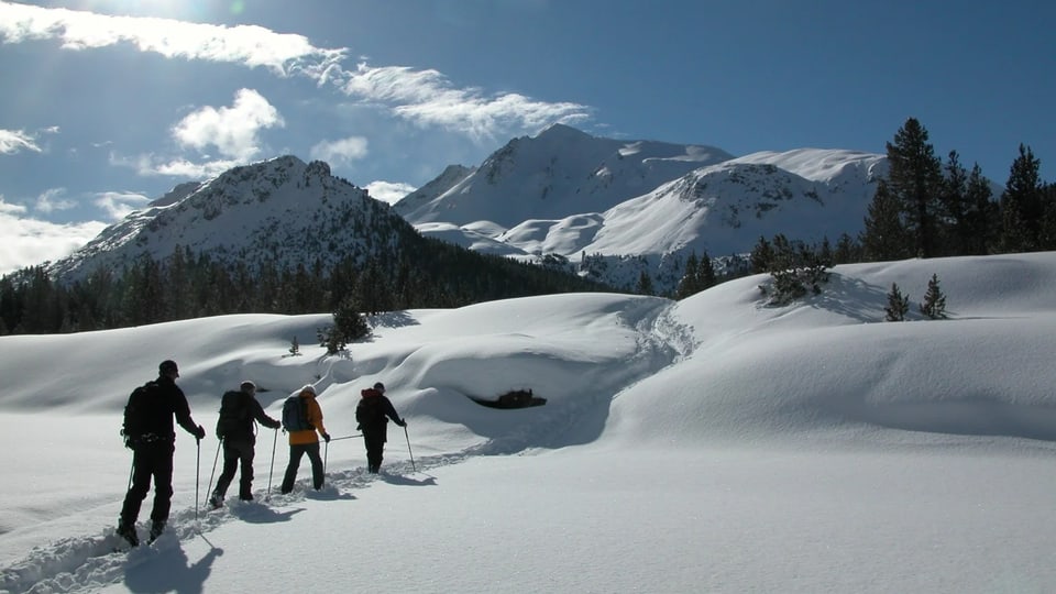 Vier Skitourenwanderer wandern durch den Schnee. Man sieht sie von hinten. Im Hintergrund ein Bergpanorama.