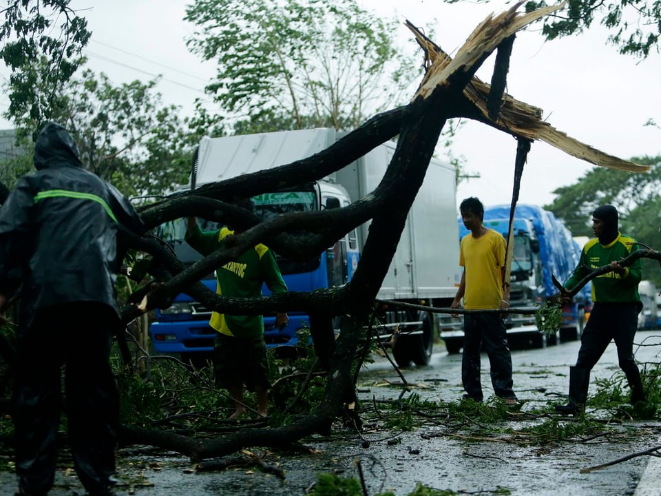 Vier Männer räumen einen umgestürzten Baum von einer Strasse, im Hintergrund stauen sich Lastwagen