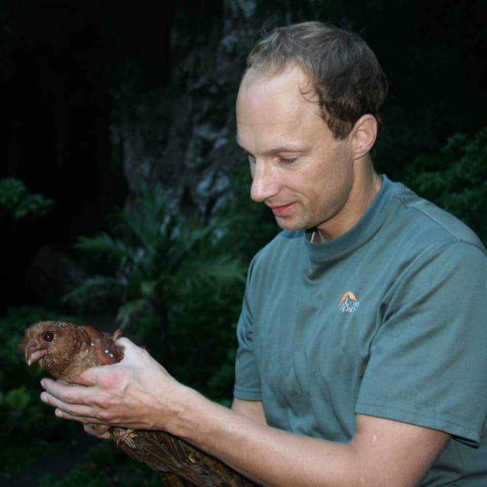 Walter Jetz hält einen braunen Vogel in der Hand, einen Fettschwalm. 