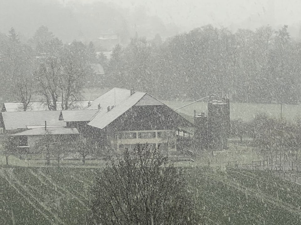 Schneegestöber bei einem Berner Bauernhof.