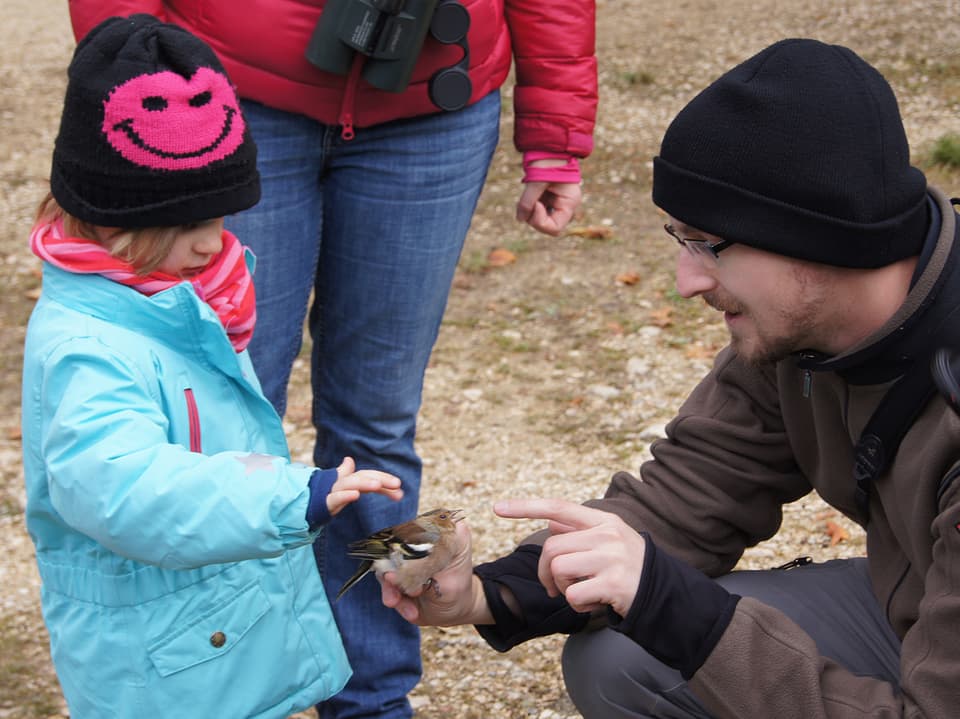 Ein Mann hält einen Buchfinken in den Händen, ein Kind schaut interessiert.