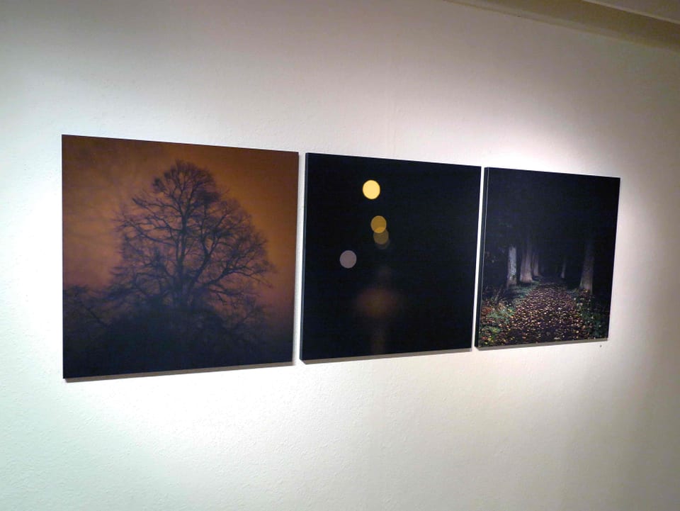 Drei Fotos in der Nacht, mit Baum und Mond
