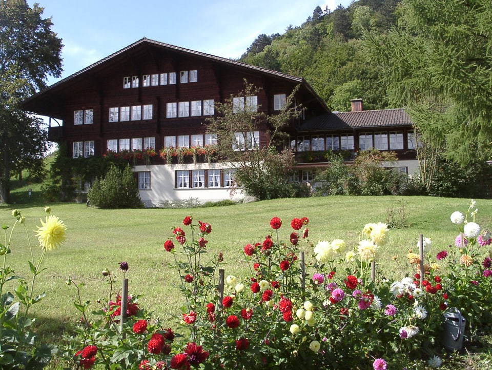 Chalet in grüner Wiese.