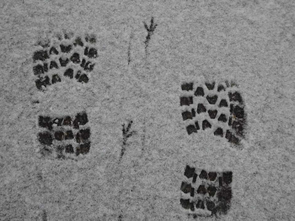 Schuhabdrücke im Schnee, dazwischen die Spuren eines Vogels