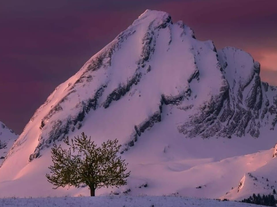 Verschneiter Berggipfel bei Sonnenaufgang mit einem einzelnen Baum im Vordergrund.