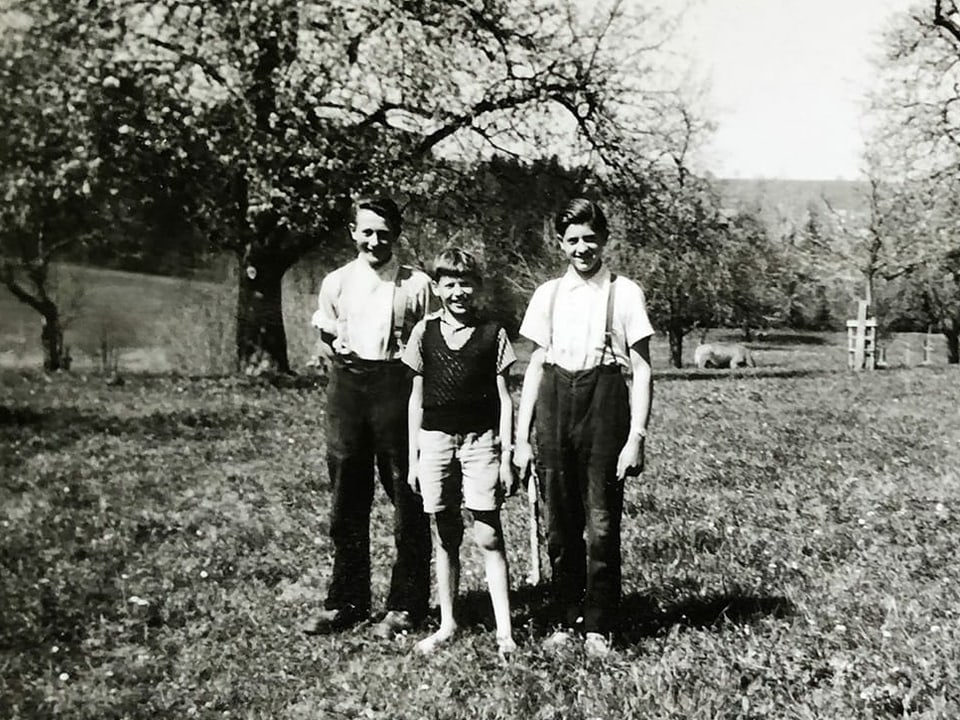 Drei junge Männer auf einer Wiese.