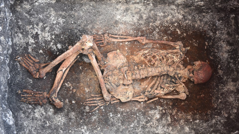 Ein prähistorisches Skelett liegt auf dem Boden.