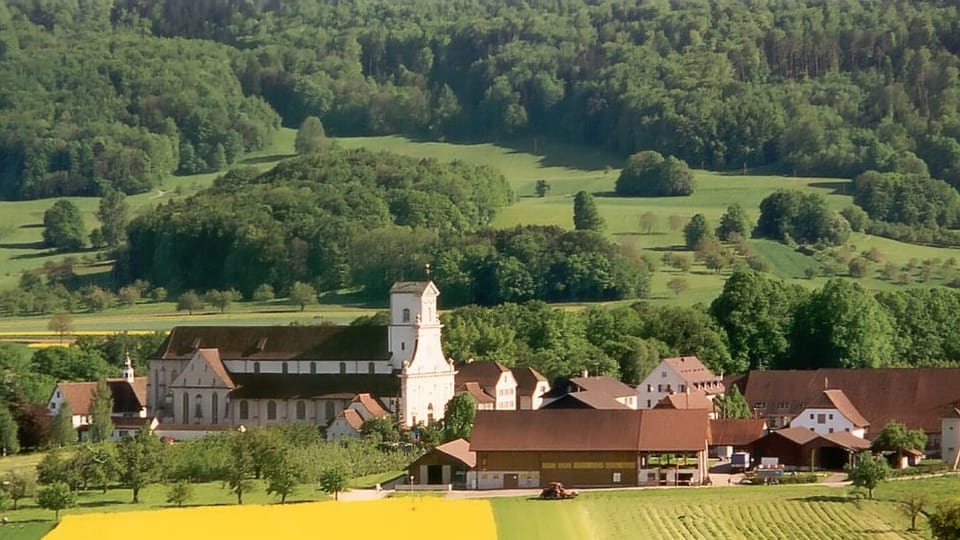 Klosteranlage mit grosser Kirche.