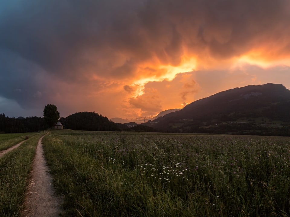 2. Juli Abendstimmung mit orangem Himmel.