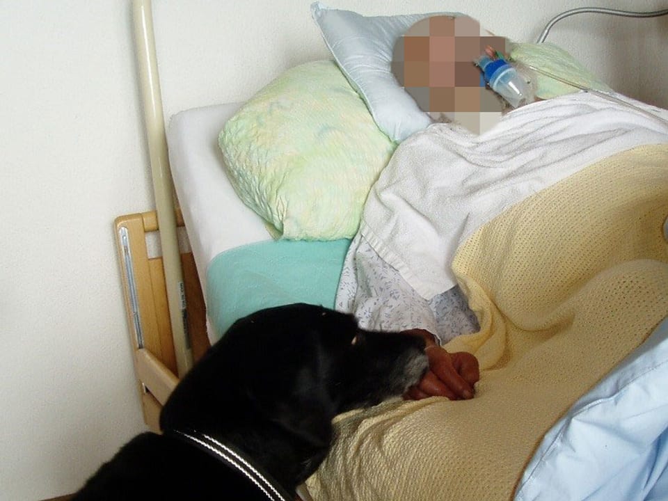 Hund am Sterbebett eines Mannes.
