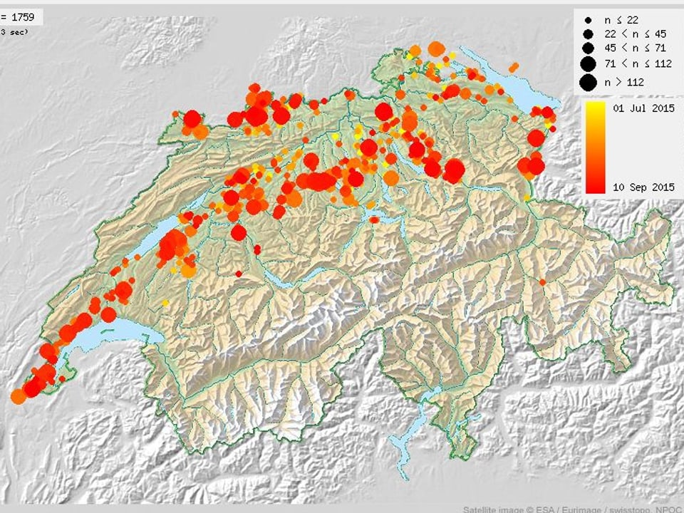 Schweizkarte mit Ort und Anzahl der beobachteten Störche zwischen Juli und September,