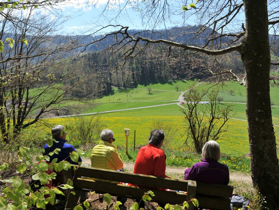 Vier Personen sitzen am Waldrand auf einer Bank und geniessen den Ausblick auf eine Wiese und die Jurahöhen.