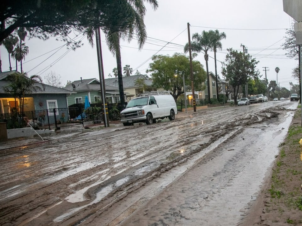 Eine von mediterranen Bäumen gesäumte Strasse ist komplett schlammbedeckt. 