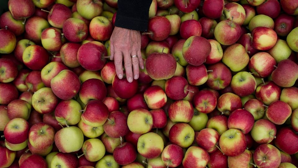 Hand greift nach Äpfeln