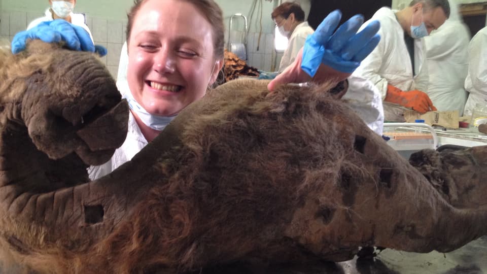 Mammut in Sibirien: Interview mit Tori Herridge