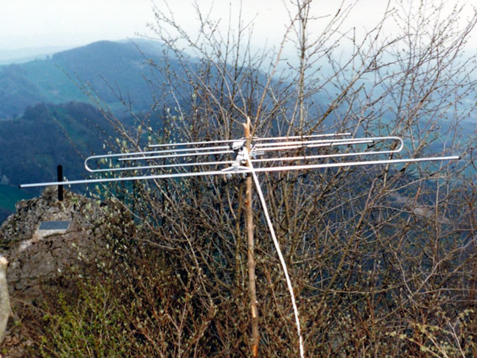 Radioantenne an einem Baumast montiert