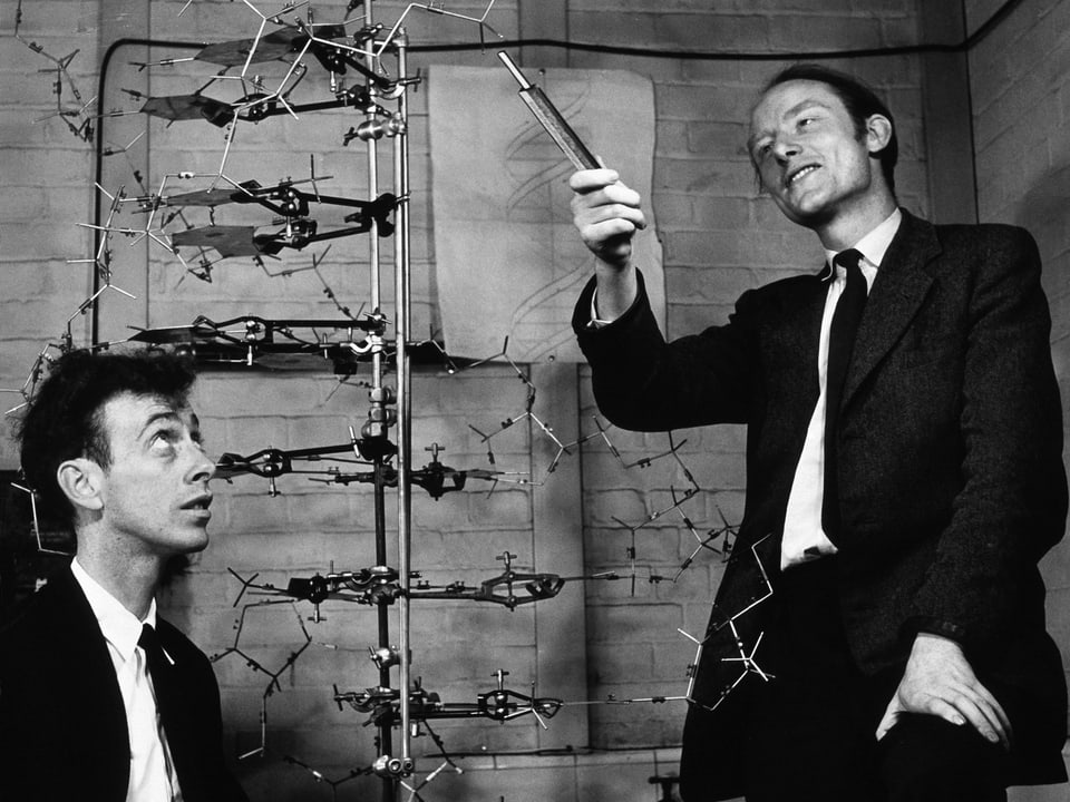 Watson und Crick mit grossem DNA-Modell