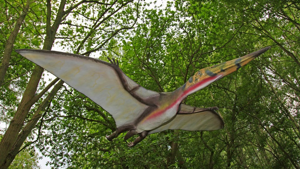 Ein Flugsaurier im Wald.