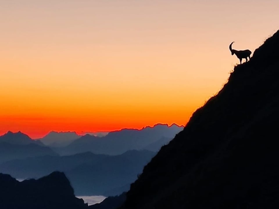 Brienzer Rothorn/BE/LU/OW Brienzer Rothorn/BE/LU/OW