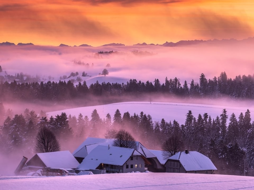 Verschneite Landschaft mit Hügeln und Wäldern mit Nebelschwaden, darüber gelber Morgenhimmel mit Blick zu den Alpen